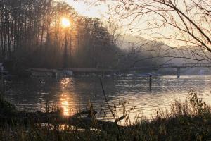 Am Wohlensee beim nach Hause gehen