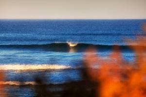 wave wave