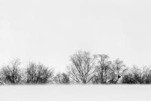 Im Schnee versunken