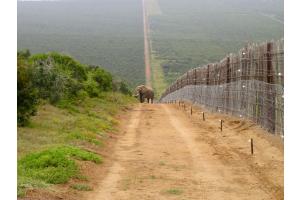 Strasse im Addo Park in Südafrika