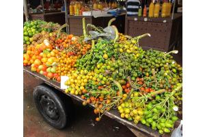Früchtemarkt in Belém (Brasilien)