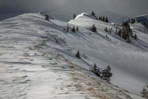 Winterwanderung "Leiterli" (Lenk im Simmental)