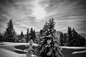 Winterimpression von 1928