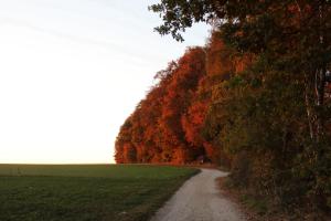 Herbstdominanz