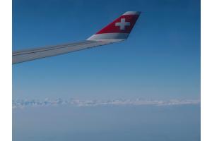 Auf dem Heimflug Auf dem Heimflug