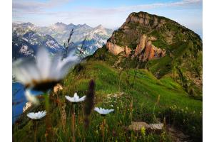 Bergsommer