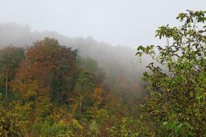 Langsam lichtet sich der Nebel Langsam lichtet sich der Nebel