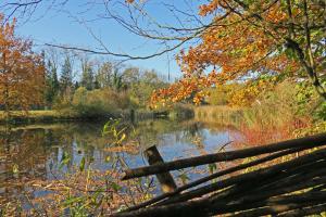 Naturschutzgebiet Auried