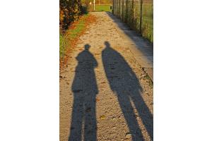 Die Schatten werden länger