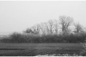Stille im Nebel Stille im Nebel