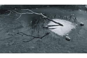 An der Aare