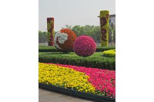 Das Blumenmeer