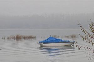 Einwinterung am Murtensee Einwinterung am Murtensee