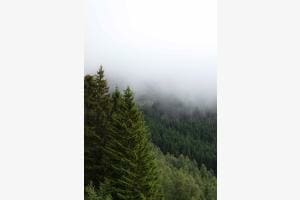 Misty Mountains in Norway Misty Mountains in Norway