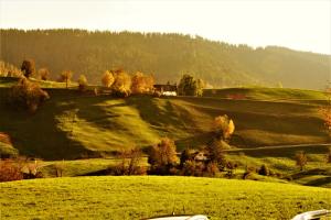 Herbstblick Herbstblick