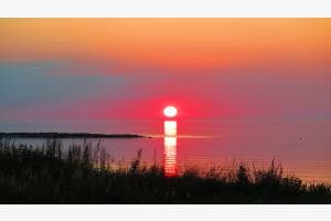 Die ovale Sonne Die ovale Sonne