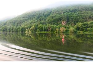 Morgenstimmung an der Mosel