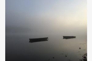 Nebel Nebel