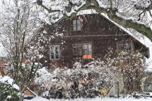Erster Schnee
