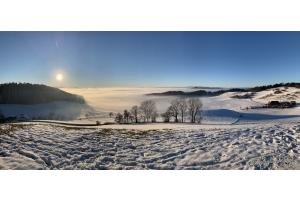 Schneelandschaft