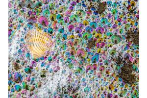 Meeres-Schaum am Strand
