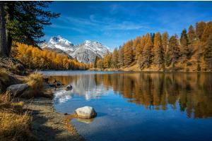 Laj da Palpuogna - Goldener Herbst
