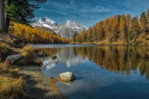 Herbst am Palpuognasee