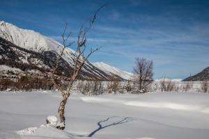 Wintertraum im Oberengadin