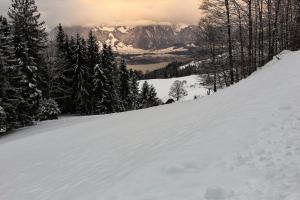 Heiligenschwendi