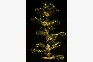 Der besondere Weihnachtsbaum