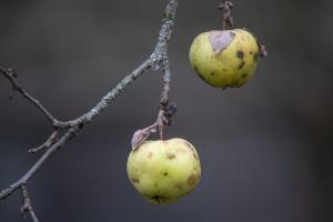 Vergessen
