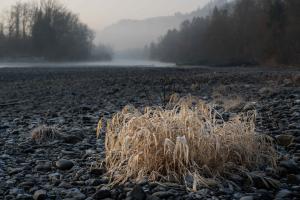 Fluss Fluss