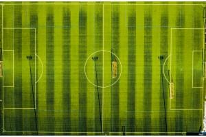 Das Spiel