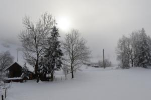 Winterlandschaft