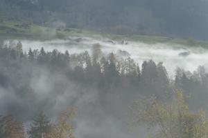 Schwanden