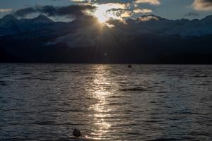Wolken am Thunersee bei Sonnenaufgang Wolken am Thunersee bei Sonnenaufgang