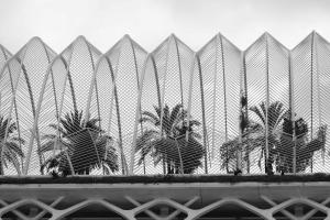 L'Umbracel Valencia