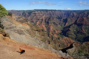 Waimea Canyon Kauai (Hawaii)