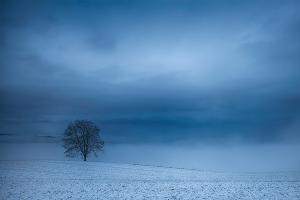 Horizont Horizont