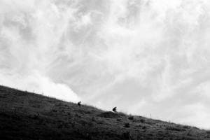 Wild Clouds Wild Clouds