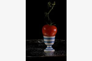 Tomate und Ei Tomate und Ei