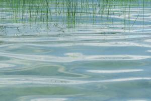 Am Wasser