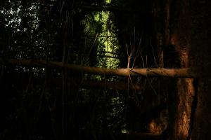 Lichtblick