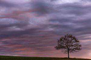 Winterliches Abendrot