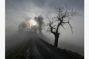 Feldweg zum Schloss Trachselwald Feldweg zum Schloss Trachselwald