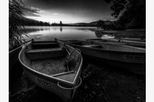 Moossee Moossee
