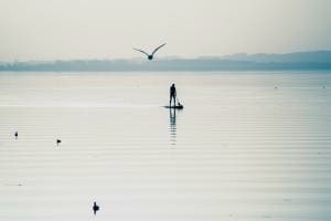 Am See Am See