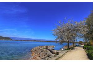 Spaziergang am Murtensee