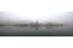 Nebliger Wintermorgen am Flachsee