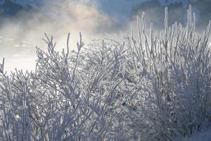 Morgensonne am winterlichen Sihlsee